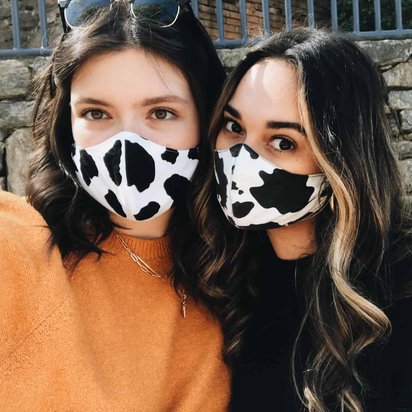 Ussuma Funny Cow Pattern Printed Cotton Face Bandanas Adult Reusable Anti Dust Exhaust Unisex Fashion Mouth Cloth Lightweight 