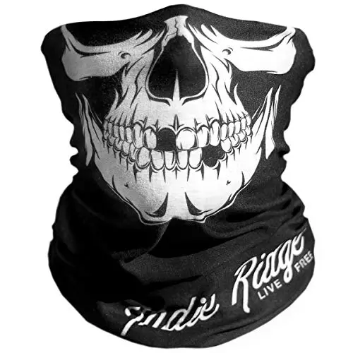 Indie Ridge skull pattern motorcycle face mask