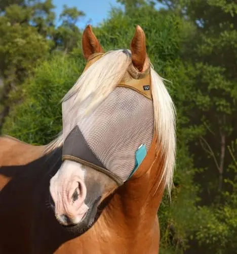 The Sunny Zebra standard fly mask with eco-friendly packaging and full coverage